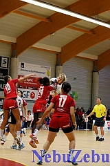 Hand_Celles_Lyon_31 [800x600]